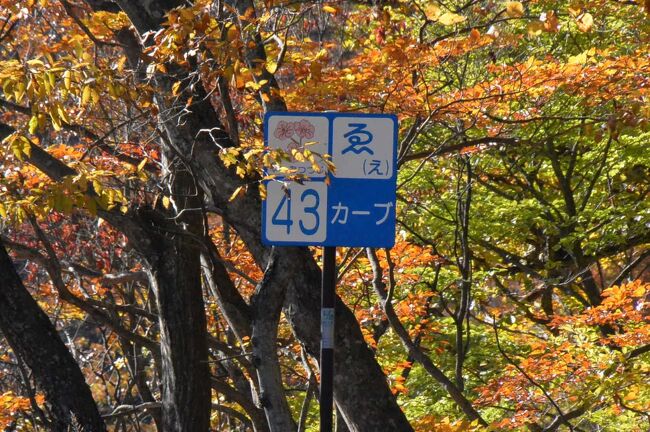 紅葉を見に中禅寺湖・半月山へ。<br />しかし連休最終日、帰り道 路線バスが大混雑。4~5本後の便でないと乗れない見通しだったので思い切って歩きました。<br />普段クルマやバスだと立ち止まってゆっくり見ることの出来ない、いろは坂の景色をじっくり堪能できました。<br />いや~~、貴重な体験ができて大満足な一日となりましたねー(⌒∇⌒)<br /><br />いろは坂、いいところです。ハイキングコースにサイコーですっ!!