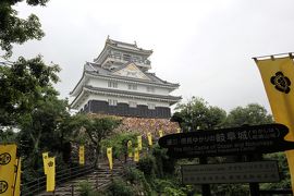 1泊2日岐阜の旅～1日目：金華山と岐阜城　鵜飼いは川が増水で中止。。。涙