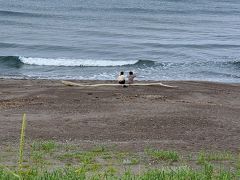 とらべるまんwithコロナの北海道2020年　原生花園を見るぞ　6月28日　2/2