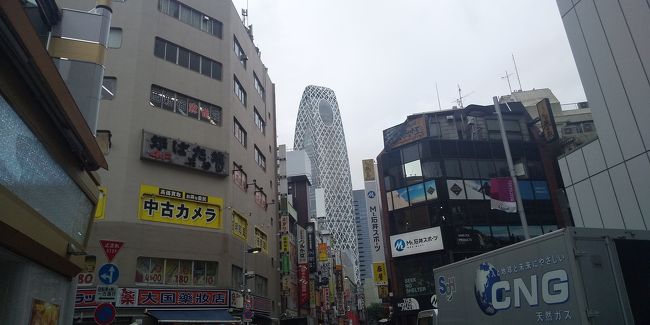 新宿でデート。<br />少し早く着いたので街をぶらつこう。<br />まずは思い出横丁。<br />新宿で最も好きな場所を歩く。<br /><br />そして西口の街。<br />どこを歩いても怠惰な活気が楽しい新宿。<br />そして、野村ビルに向かう。<br /><br />最上階にある人気の土佐料理店。<br />予約しておいたので窓際の席が確保されていた。<br />待ち合わせ時間を10分ほど過ぎて彼女が登場。<br />久しぶりだったので嬉しいね。<br /><br />土佐料理のコースは土佐天や鰹のたたき、そして土佐の田舎寿司などボリュームも味も大満足。<br />夜景が素晴らしいと言うので、今度は夜来てみよう。<br /><br />翌日は少し遅めの朝食、ブランチを思い出横丁で取る。<br />レバニラ炒めを食べてビールを飲む。<br />この組み合わせは最高だ。<br /><br />そして夕方。<br />パークハイアット東京のデリカテッセンで彼女と待ち合わせ。<br />遅めのランチを取る。<br />サンドイッチを食べながらビール。<br /><br />雰囲気も良いし味も良い。<br />ここも夜来てみよう。