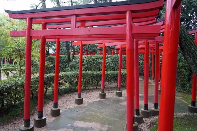 丸亀駅から一駅西へ。日本庭園があるみたい。丸亀城の後、行ければと思ってはいたんですが、時間的にどうかなと。んでも、駅でケッタマシン借りられました。ケッタマシンなら、問題無く行けそうですね。後は天候だけが…