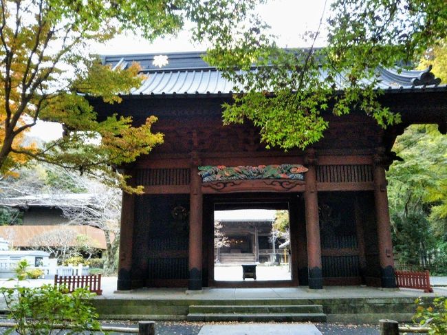 2018年11月に鎌倉を訪れました。<br />今回は亡き父の十三仏詣りを結願することが第一の目的で、鎌倉在住の知人の案内で、ぶらり紅葉ウォーキングも。<br />鎌倉の深まりゆく秋を楽しみました。
