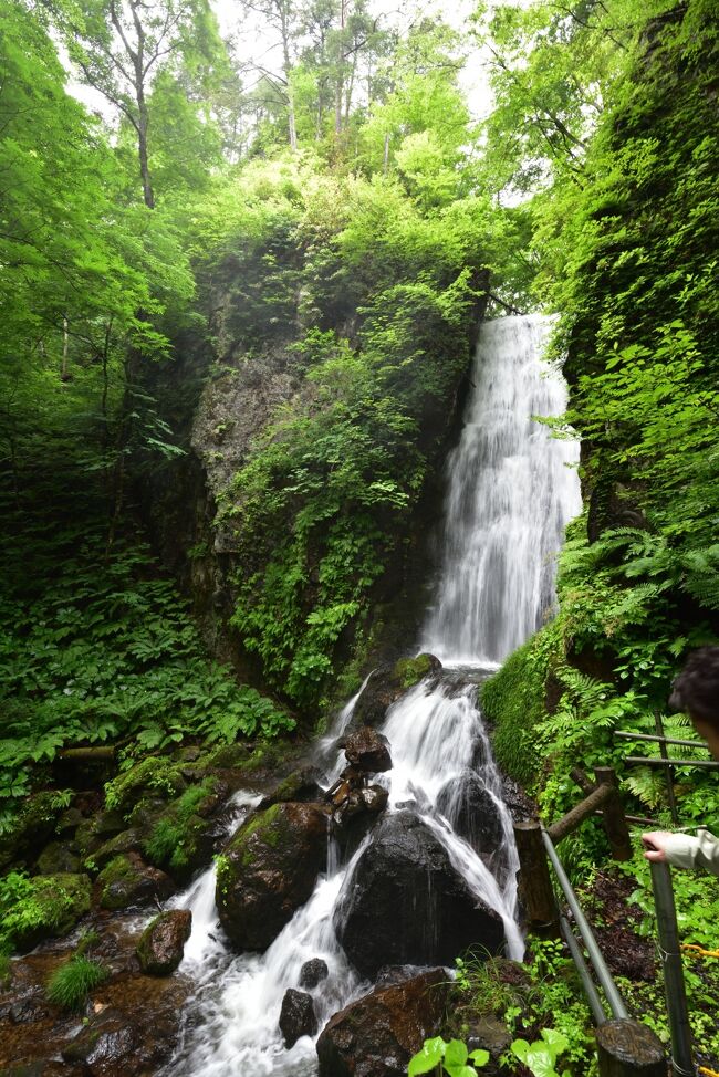 新型コロナ自粛で、大変なおもいをされているホテルや観光地を応援したいと思い、まだ行ったことのない八幡平の宿を探してみました。<br /><br />ちょうど、休業していたアクティブリゾーツ岩手八幡平Daiwa Royal Hotelが7月から営業を始めるというので、岩手山の懐に建つ、ここを2泊予約しました。<br /><br />かなり、広い岩手県だから県南に住んでいると県庁の盛岡市に行くより、宮城県仙台市に行くほうが断然近いくらいなので、宿優先に決めて、それからなにをするか決めました。<br /><br />１／２　は、うちの妻が御朱印集めているので、神社仏閣巡りになります。