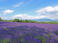 初めての北海道①【一幻　えびそば】は絶品！～まずは富良野へ