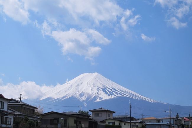 ［秘境！路線バス乗り継ぎ旅　初日：前編］  　神奈川・静岡・山梨の３県から眺める「富士山」と富士吉田名物「吉田のうどん」