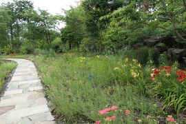 梅雨の河口湖×伊豆♪　Vol.29　☆ハーブ庭園 旅日記 富士河口湖庭園：美しい初夏の庭園♪