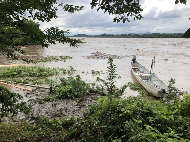 2020年6月　梅雨の晴れ間に扶桑緑地公園を歩く<br />自然の脅威も感じました