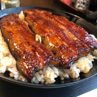 【母娘旅行】中伊豆の名旅館　雲風々ufufu & 三島うな丼