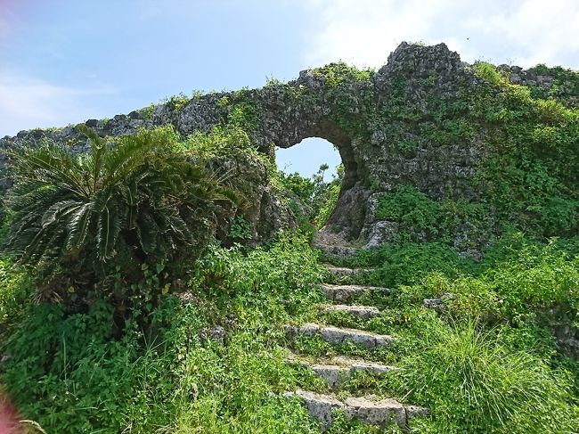 ご覧いただきありがとうございます。つたない旅行記ですが よろしくお願いします。<br /><br />先月は家族の住む石垣島へ行ったばかりですが、母をつれてどこか旅をすることに。旅行先について、新幹線で函館にしようか 行ったことない南紀白浜にしようか?候補もでましたが、結局 スケジュールもたてやすく行き慣れている、梅雨明けしてる沖縄へ決定しました。<br />初日、突然スコールに降られましたがそれ以外は夏空に恵まれ 楽しい旅行でした<br /> <br /><br />行ったところ※美ら海水族館、熱帯ドリームセンター、上間商店、大渡海岸、沖縄ワールドエイサー、玉城城、首里城、座喜味城、波之上宮、瀬長島<br /><br />航空会社 ANA<br />ホテル リザンシーパークホテル谷茶ベイ <br /> ベッセルカンパーナホテル沖縄<br />Jネットレンタカー 軽デイズ<br /> <br /><br />
