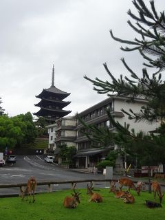 お仕事帰りにサクッと奈良♪ ならまちと大和郡山をぶらぶら