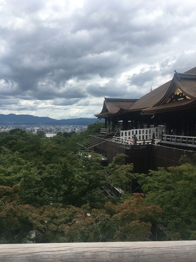 西国三十三ヶ所めぐりの第１６番札所　清水寺に日帰り散歩して来ました。<br />車でうちから40分位で京都に行けるのでたまに散歩してます。<br />清水寺檜皮葺き（ひわだぶき）屋根の工事は　終わり<br />足場の撤去も2020年2月末に終了しました。<br />が舞台板の交換があるようで少し工事してました。<br /><br />1年半後の2021年3月に工事が終わり　春には足場の撤去が済む予定だそうです。<br /><br />帰りは　四条河原町通りの　スイーツパラダイスという食べ放題のお店に行って　帰りました。&#127925;