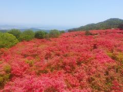 徳仙丈山のツツジと唐桑半島観光