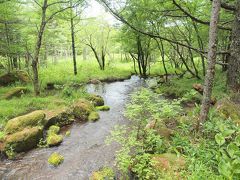 夏の信州旅No.３　女神のそらテラスから眺める女神湖　緑が美しい御泉水自然園　たてしな自由農園 原村店でランチ＆ショッピング