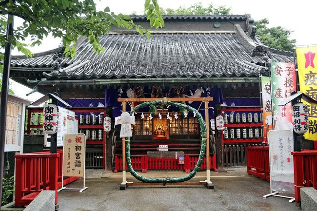 埼玉県の東部にある人口約11万7千人の「鴻巣(こうのす)市」・・・鴻巣は埼玉県民にとっては免許センターとして有名な所、というか、それしか知らない街でしたが、江戸の時代から中山道の宿場町・鴻巣宿として発展した街です。<br />鴻巣の地名は、かつてこの地に武蔵国の国府が置かれ、「国府の州」が「こうのす」に転じ、後に「鴻(こうのとり)伝説」から「鴻巣」の字を当てるようになったとも伝えられています。<br />鴻巣の周辺は、昔は湿地帯だったため、コウノトリが沢山棲んでいたそうで、鴻伝説によると、災いをなす大蛇をコウノトリが飛んできて撃退し、人々の平和な生活を戻してくれたということで、その地に祀られていた社を鴻ノ宮と呼び、地名も鴻巣と呼ばれるようになったそうです。<br />そんなことを思いながら梅雨空の中、中山道に沿って《鴻神社 ⇒ 法要寺 ⇒ 勝願寺》と由緒ある鴻巣宿の寺社を回ってみました。<br /><br />写真は、「鴻(こう)神社」の「茅の輪」と「拝殿」です。