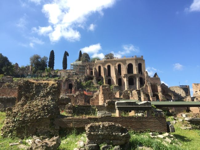 イタリア旅行に行くに渡って、治安が悪いと聞き色々心配していましたが、気をつける事で、スリにも遭わず、楽しい思い出がいっぱい出来ました。<br />ローマは観光名所が、ぎゅっと濃縮されていて、ほぼ徒歩で回ることが出来ます。ヨーロッパの割にはレストランのお値段もお手ごろで、何を食べても美味しかった。さすがイタリア!!<br />マルタの旅行記の続きになりまーす。<br />日程は、マルタからイタリア航空で、ローマ。<br />ローマからは、電車で、フレンツェ→ジェノバ→ヴェネチアを観光していきます。