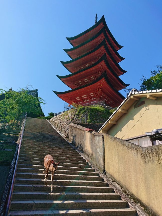 伝えたい木の匠の技～広島・後編