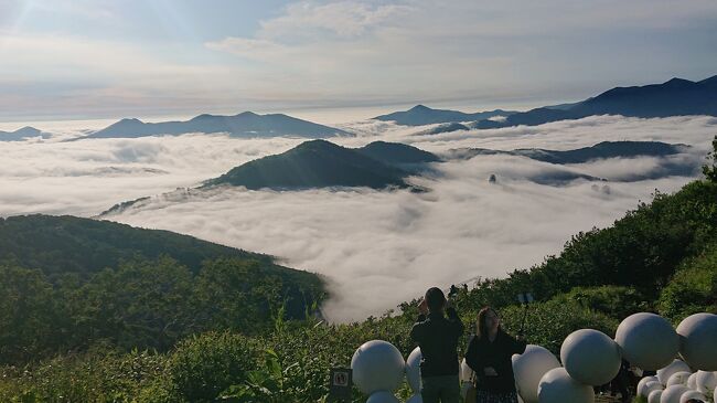 北海道の夏の風物詩、雲海とラベンダー。トマムの星野リゾートで太平洋産雲海を見て、今は亡き高倉健さんと志村けんさんが出演した鉄道員(ぽっぽや)のロケ地を見学。<br />中富良野のファーム富田でラベンダー鑑賞をして、美瑛の青い池、白ひげの滝、四季彩の丘を巡りました。