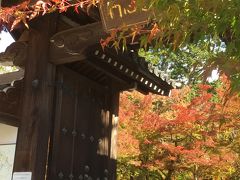 秋の京都、紅葉の旅　ANAプレミアムクラス(国際線使用機材)で
