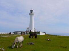 自粛解除！北海道＆青森（右のほう）へ【ダイジェスト その4　一人旅パート後半（八戸＆下北）】