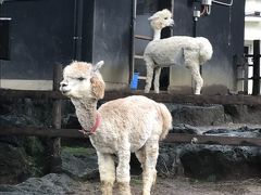 静岡の旅　三島の街歩き