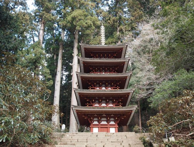2019年冬　京都と奈良のひとり旅 三日目【１】室生寺　奥の院までの長い石段
