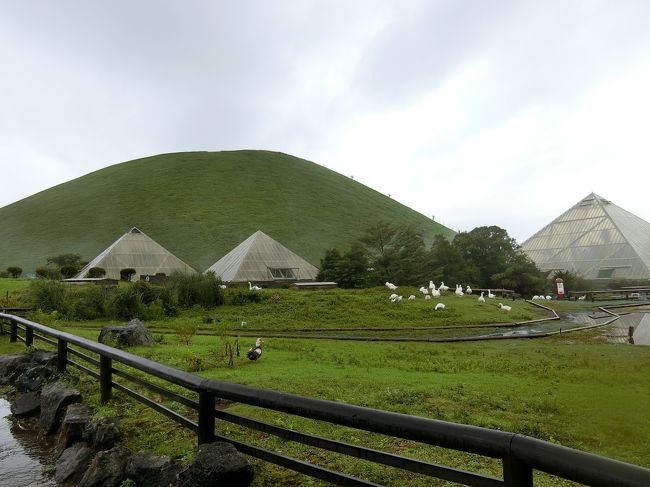 雨でも 大人でも 楽しい 伊豆シャボテン動物公園 伊東温泉 静岡県 の旅行記 ブログ By Felidaeさん フォートラベル