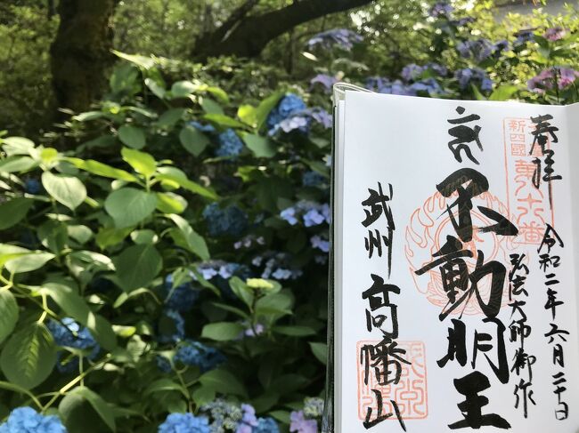 2020年6月 あじさいを見に高幡不動尊へ