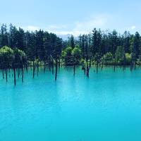 夏の北海道へ2泊3日の家族旅行