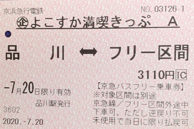 京急よこすか満喫きっぷ、品川発着3,110円で往復切符、バスフリー、お仕事、お土産付きです。東叶神社→渡し船→西叶神社→観音崎海岸→走水神社→破崎緑地展望デッキ→横須賀海軍カレー本舗→スカナビという旅程。