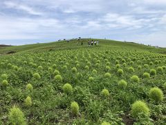 国営ひたち海浜公園では、三密から逃れて深呼吸