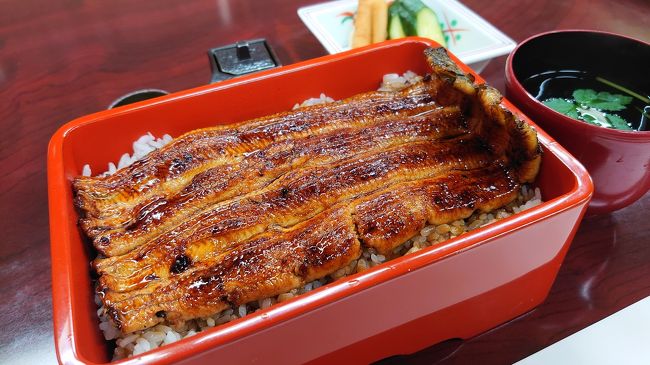 久しぶりの投稿です。<br /><br />コロナの影響で趣味の旅行が出来ない中でちょっとでも気分転換をする為に、近場ですがドライブ旅行気分。<br /><br />ちょうど土用の丑の日と休日が重なったので鰻の名店がひしめく成田に行ってきました。