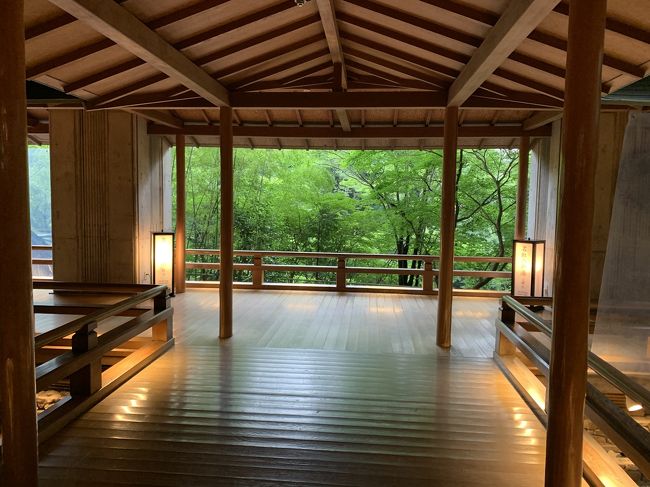 7月17日(金)<br />やまびこ153号 東京18:00発 → 仙台19:59着<br />プレミアムグリーンプラス泊<br />7月18日(土)伝承千年の宿佐勘泊<br />7月19日(日)<br />やまびこ192号 仙台18:25発 → 東京20:28着<br /><br />【旅費】<br />■ エースJTB 大人33,000円<br />■ 小学生17,600円、未就学児6,600円<br />