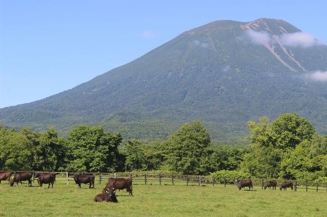 先週末、久しぶりに北海道に行きました。<br />金曜日の夜のフライトで千歳に入り、土日だけの短い旅程でしたが、天気も良く、久しぶりの旅行を楽しみました。<br />まず、土曜日はレンタカーを借りて「蝦夷富士」と呼ばれる羊蹄山の麓をドライブ。<br />青空が広がり、美しい羊蹄山を見ることができました。<br />夜は比羅夫駅舎が民宿になっている「駅の宿　ひらふ」に泊まりました。