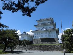 小田原城とその風景