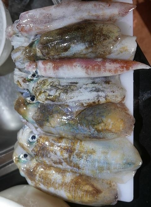 ☆ 昼食&夕食<br /><br />☆ コンドーミニアムからの景色<br /><br />☆ バンサレー市場で買い物<br /><br />☆ 食器棚を購入<br /><br />☆ イミグレーションで90日レポート<br /><br />☆ ナコンラチャシーマ(コラート)2泊<br /><br />☆ クロムテーディン市場で買い物<br /><br />☆ 火金日市場で買い物<br /><br />☆ コンドーのプール脇で見つけたバタフライピー<br /><br />☆ アティツ.ソンコッ(タイ語) ハロ現象<br /><br />