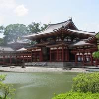 三室戸寺の紫陽花や夏越しの祓いも過ぎて 世界遺産・宇治の平等院に詣でました