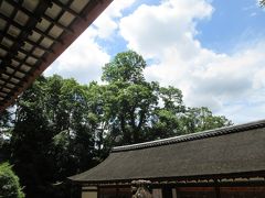 県外移動の自粛が解け 世界遺産・宇治上神社で新型コロナ終息を祈願しました