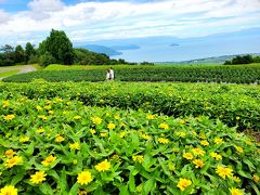 ４連休前に、“箱館山”と“醒井(さめがい)”で、束の間の癒やし,ﾟ.:｡+ﾟ★