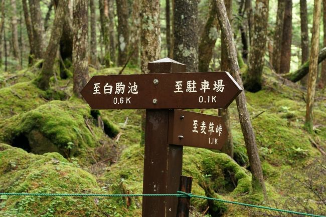 　友人と3人でたまに行くレンタカー日帰り温泉の旅、旅行記にするのは初めてですが、今回はコロナ自粛明けということもあり1泊のんびり旅に。<br />　自然の中の温泉で癒されたいという友人希望から長野 蓼科で、「渓流露天風呂目」当てでグランドホテル 滝の湯に宿泊。ちょうどリフォームしたばかりのコンフォートフロアのキャンペーン価格を利用できました。<br />　観光は以前から行ってみたかった御射鹿池にも。11日は曇り夜はドシャ降りでしたが、12日は久しぶりに雨マークの無い日でした。<br /><br />　1日目：白駒の池、苔の森、グランドホテル滝の湯<br />　2日目：御射鹿池、諏訪大社 上社、岡谷蚕糸博物館<br />　費用：宿泊・食事・ﾚﾝﾀｶｰ・高速代を3人で割って36,000円/人。<br /><br />1日目の白駒池・苔の森は標高が高いこともあって半袖だと寒かったですが、雰囲気が思った通りで満足でした。<br />　グランドホテル滝の湯はやっぱり渓流露天温泉が良かったです。HPの写真の見た目よりも小さいなとは思いましたが、川が眼下に流れていて癒されます。