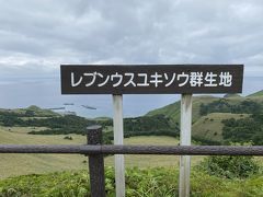 礼文島トレッキング三昧の旅 =3日目礼文林道で見事なレブンウスユキソウ群生をみた=