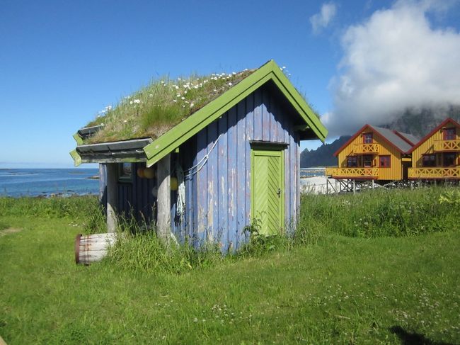 ベステローデン諸島（Vesterålen|)とロフォーテン諸島(Lofoten)旅の前半です。<br />アンドーヤ島のNational Scenic Ruteのドライブをお伝えします。<br />去年は雨と強風でしたが、今年は晴れ!<br />今年もピカピカの美術館トイレ（勝手に命名）Bukkekjerkaに行きました。<br />