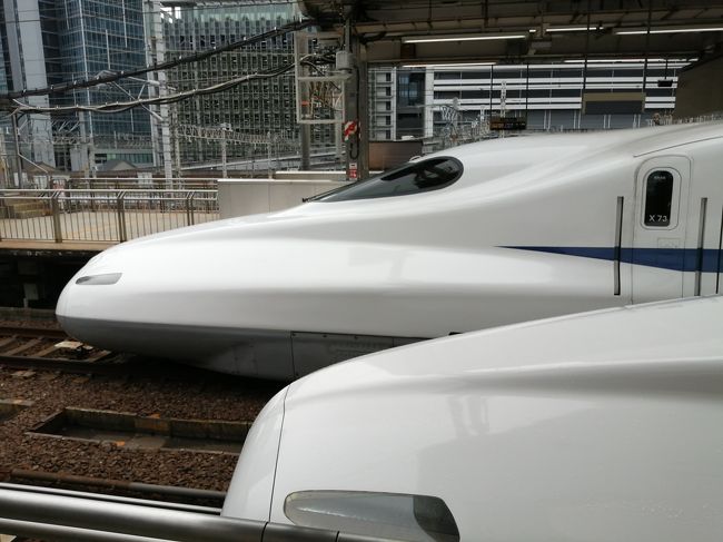 新横浜から名古屋に出張です。大雨の後でしたが、なんとか無事に仕事してきました。<br />でも、これは旅行でもあります。<br /><br />新幹線って楽しいね。でもコロナは怖い。