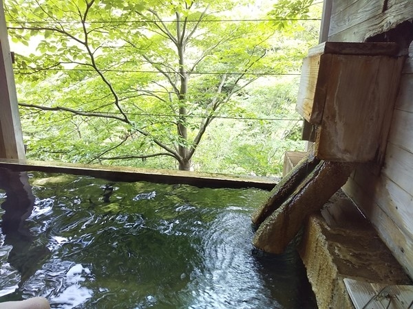 久しぶりにドライブで宮城県山奥の峩々温泉に行きました。2012年以来です。<br />湯ぢからを感じる大自然の秘湯。ゆったりと湯あみを楽しんできました。<br />ブログで詳細を以下にアップしています。<br /><br />Pockieのホテル宿フェチお気楽日記III<br />https://pockie3213.exblog.jp/