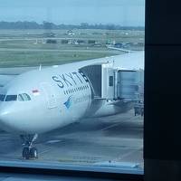 2020年オーストラリア自然探求の旅【帰国編】