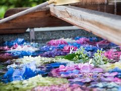 彩りが素晴らしい花手水の豊景神社