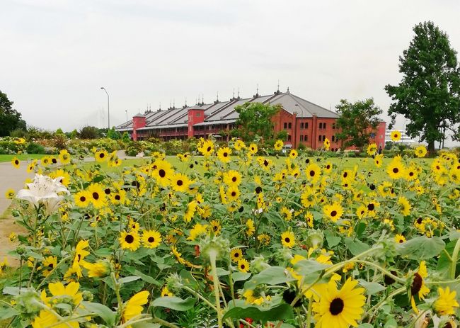 全国一斉打ち上げ花火見えましたか？<br />2020年7月24日　本来なら東京オリンピックの開会式が華々しく行われる<br />ハズだったこの日をあたらしい始まりの日にしようと４７都道府県120カ所<br />で20時から一斉に花火が打ち上げられました。<br />　<br />が！残念ながら我が家からは見えず。<br />密を避けるため場所は非公開でしたが神奈川県はどうやら相模原と小田原<br />だったとの噂。早く今までのようにみんなで花火大会を楽しめるように<br />なるといいですね。<br /><br />あたらしい始まりという事で今までぶらっとお散歩した横浜の新規OPEN<br />スポットを集めてみました。<br />予期せぬコロナ禍で開業を延期せざるを得ず混雑をさけるためオープニング<br />もひっそりとしたところが多かったようですが横浜は今年新規開業ラッシュです。<br /><br /><br />