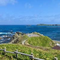 礼文島トレッキング三昧の旅 =5日目岬めぐりを途中断念から澄海岬経由で久種湖、穴あき貝集め=