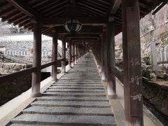 2019年冬　京都と奈良のひとり旅 三日目【3】長谷寺　一周廻ったら2時間弱、冬咲の牡丹