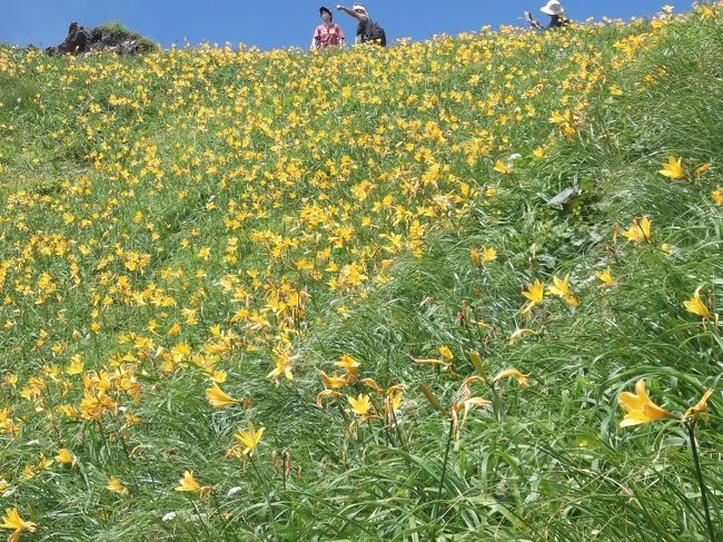 梅雨の晴れ間に秋田駒ヶ岳１