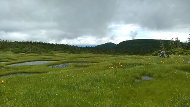 梅雨の晴れ間に秋田駒ヶ岳２